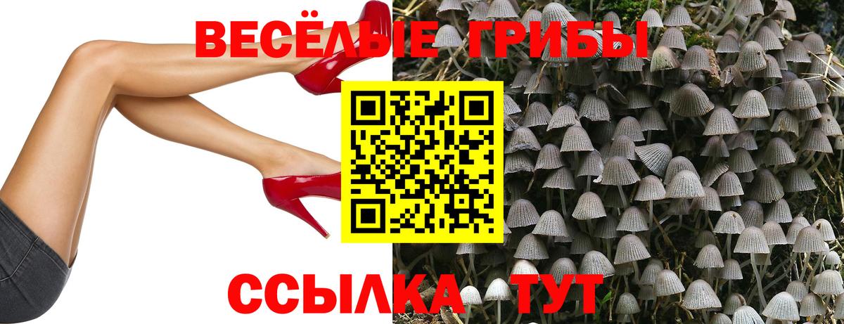 Псилоцибиновые грибы мухоморы Полысаево