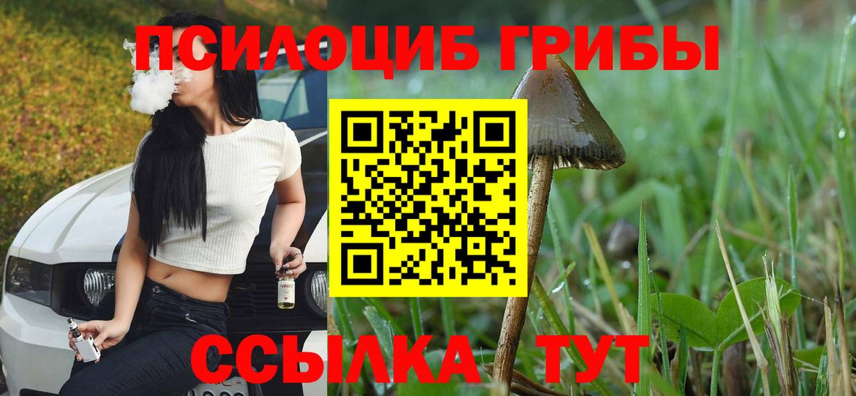 Полысаево  Псилоцибиновые грибы мицелий  где найти   Вход с VPN 